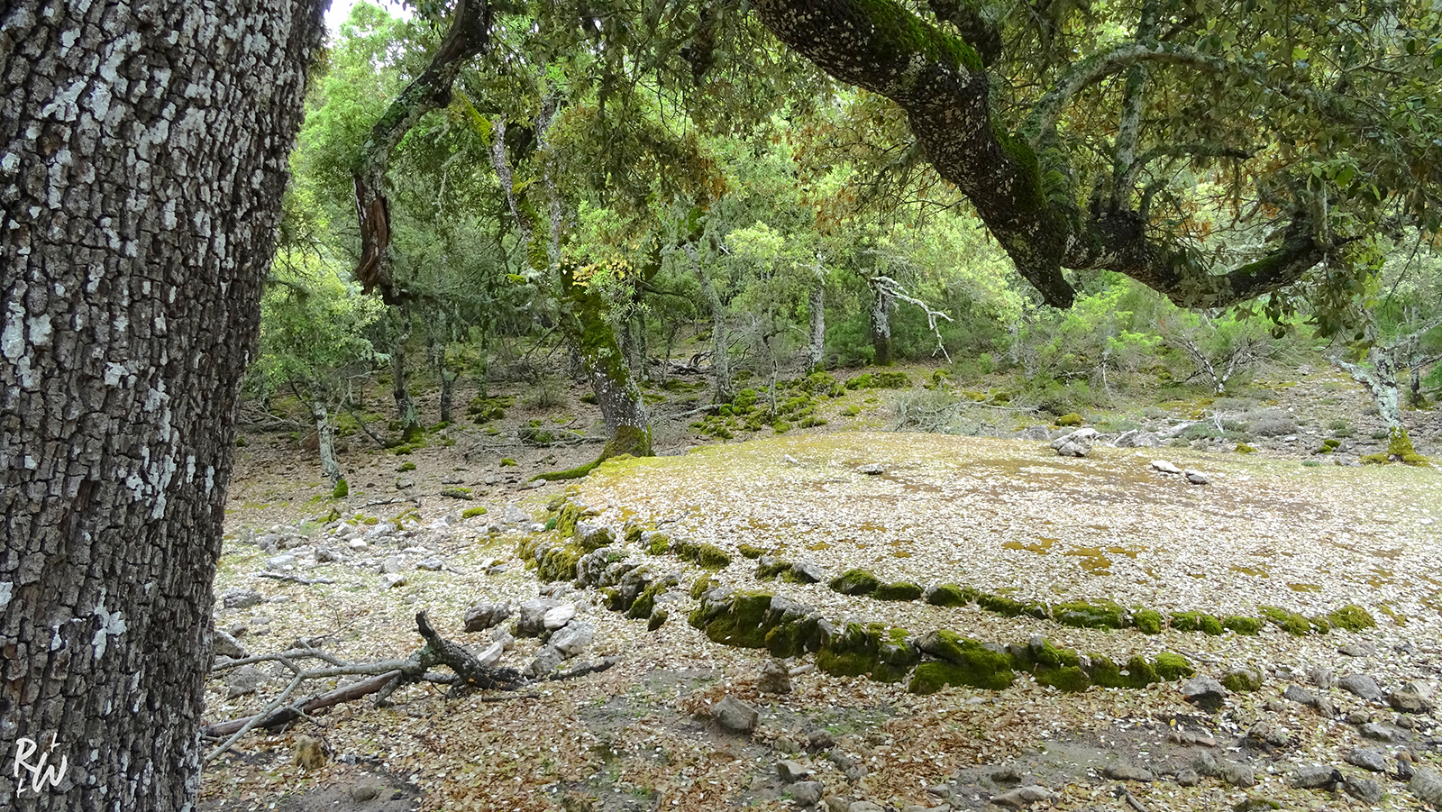 Bivouac sur le GR221