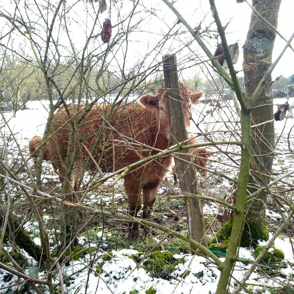 "Vous… ne me mangerez… pas !"