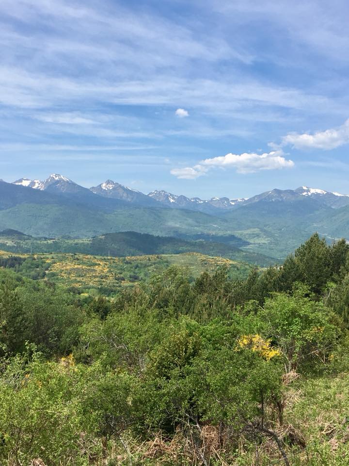 Pyrénées à vélo : entre montagnes et forêts