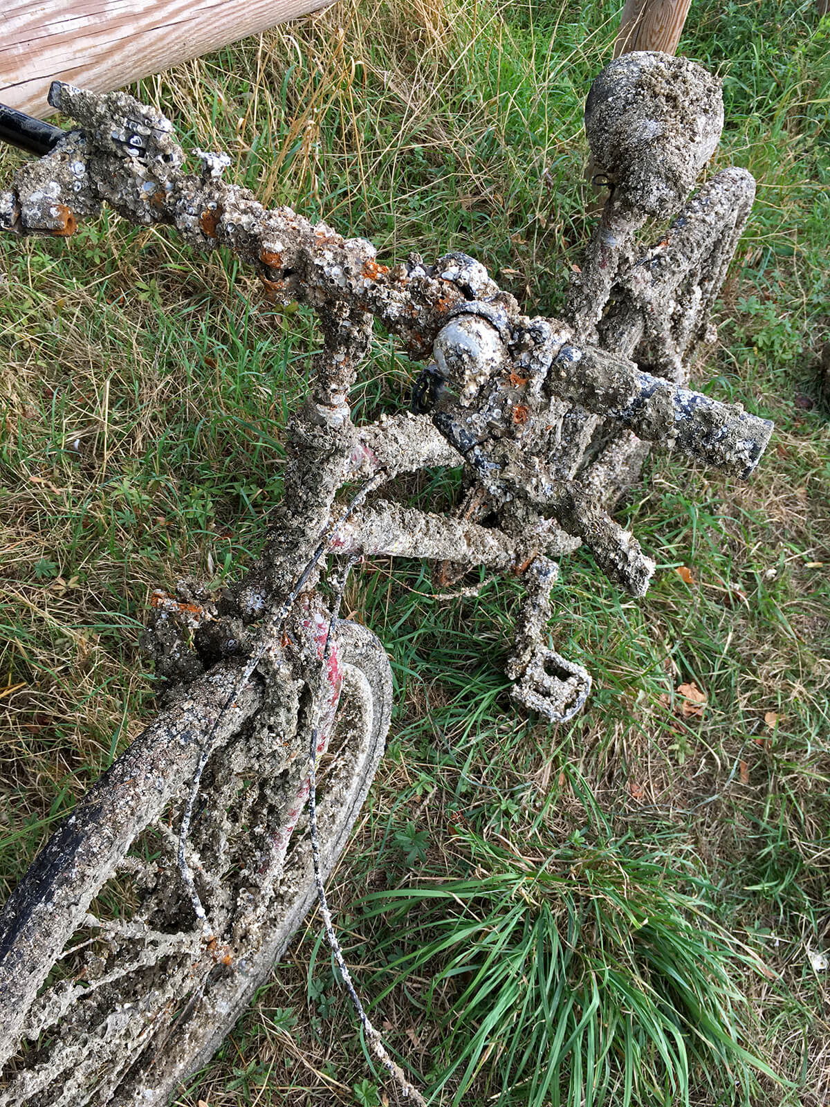 Le vélo de Jack Sparrow !