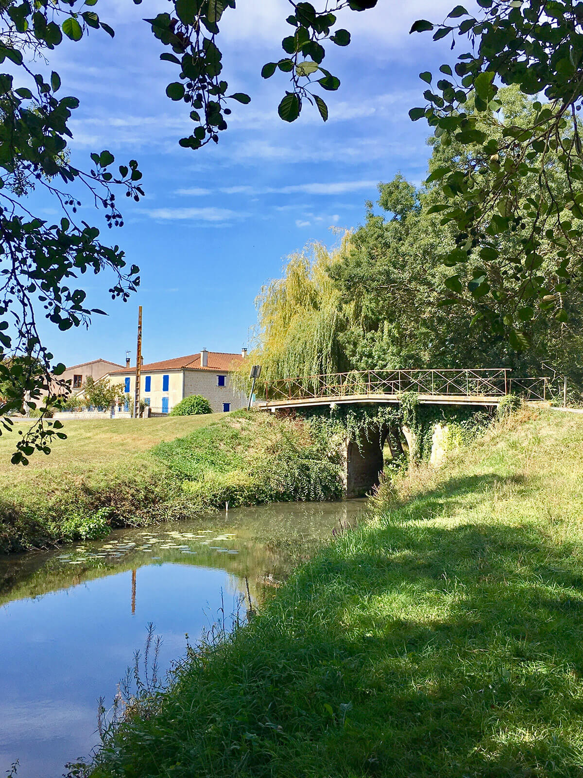 Le marais Poitevin